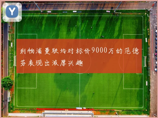利物浦曼联均对标价9000万的范德芬表现出浓厚兴趣