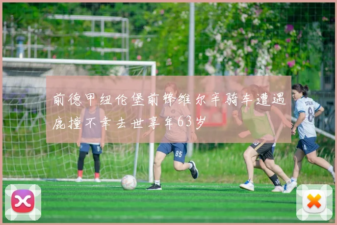 前德甲纽伦堡前锋维尔辛骑车遭遇鹿撞不幸去世享年63岁